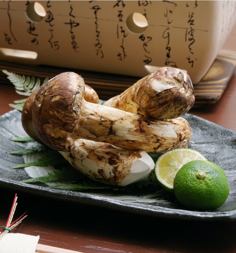 松茸