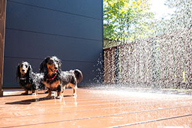 離れ　愛犬と泊まれるプレミアムツイン