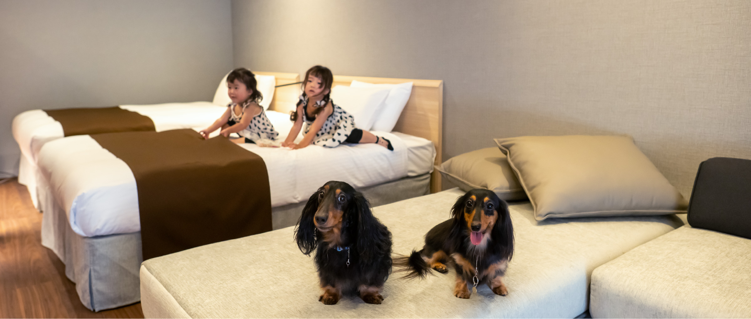 愛犬と泊まれるお部屋オープン記念