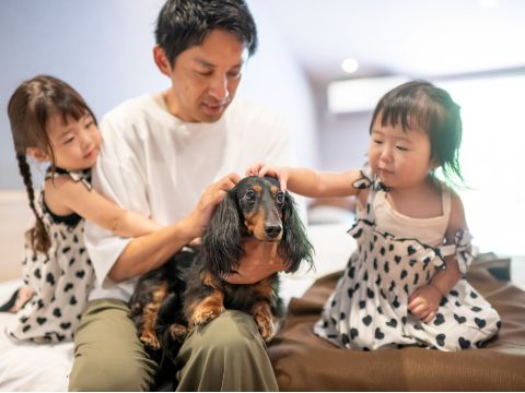 愛犬と泊まれる プレミアムツインルーム